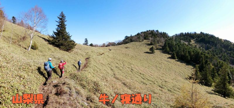 �@�R�����@�@�@�@�@���m�Q�ʂ�