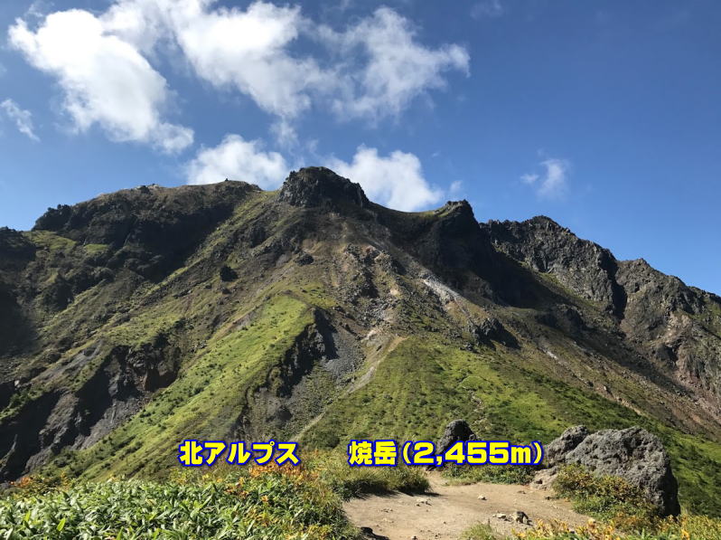                �k�A���v�X�@�@�Ċx�i2,455���j