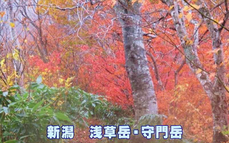          �V���@�󑐊x�E���x 