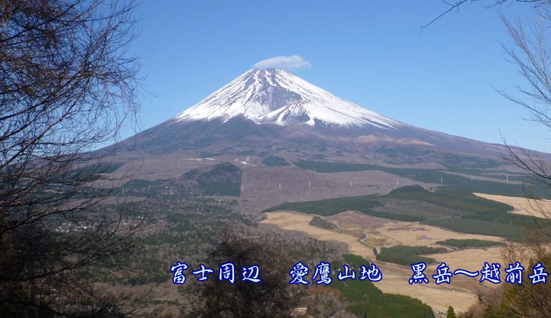                                           �x�m���Ӂ@����R�n�@���x�`�z�O�x 