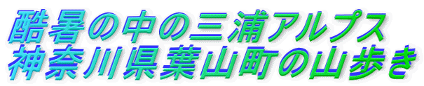 酷暑の中の三浦アルプス 神奈川県葉山町の山歩き 