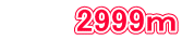 2999ｍ