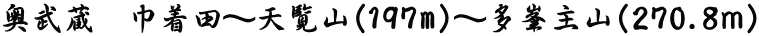 奥武蔵　巾着田～天覧山（197m）～多峯主山（270.8ｍ） 