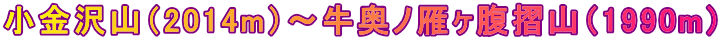 小金沢山（2014m）?牛奥ノ雁ヶ腹摺山（1990m） 