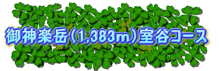 ��_�y�x�i1,383���j���J�R�[�X 