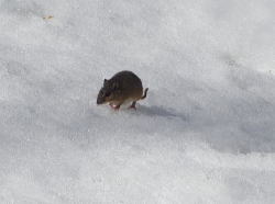 �����l�Y�~