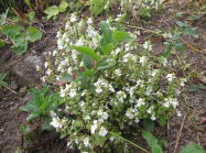 �~���}�R�S���O�T