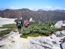 ��؂���ؑ]��܂ł̏c���H���P���܂�