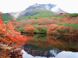 �W�����Ђ傤����r���猩��ߐ{�x