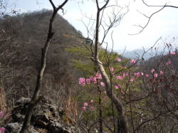 �A�J���V�I