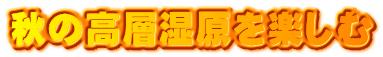 秋の高層湿原を楽しむ