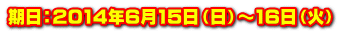期日：2014年6月15日（日）～16日（火） 