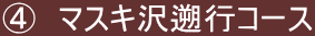 ④　マスキ沢遡行コース