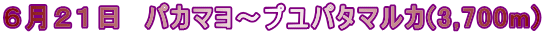 ６月２１日　パカマヨ～プユパタマルカ(3,700m)